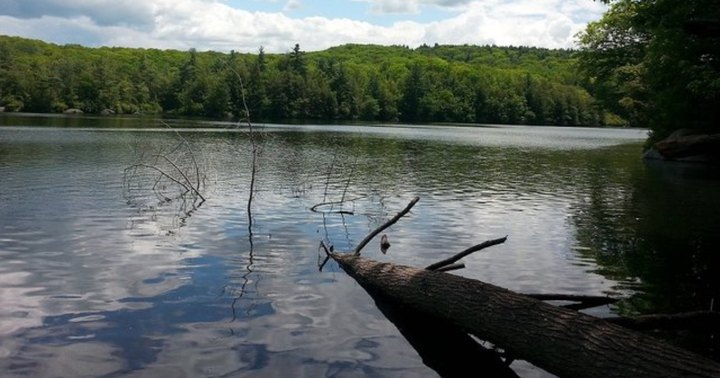 This Beautiful Swimming Lake Surrounded By A State Park In Connecticut Is A Stellar Summer Adventure