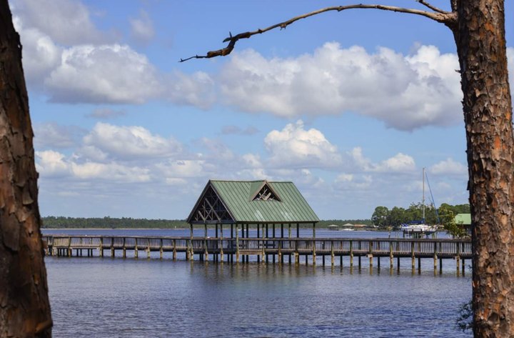 The Magical Place In Alabama Where You Can View Wild Dolphins
