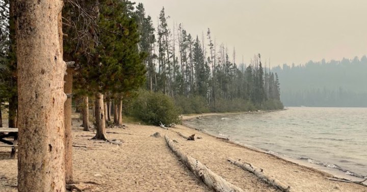 The One Inland Beach In Idaho That Will Make You Swear You're On The Coast