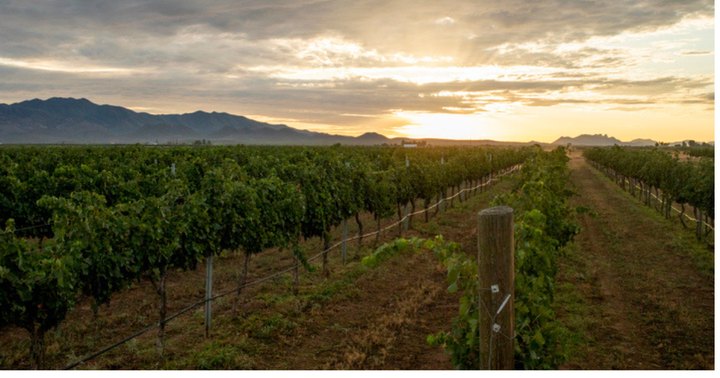 The Wine Capital Of Arizona Is One Of The Most Charming Small Towns You'll Ever Visit