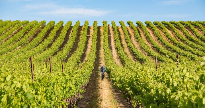 The Wine Capital Of Washington Is One Of The Most Charming Small Towns You'll Ever Visit