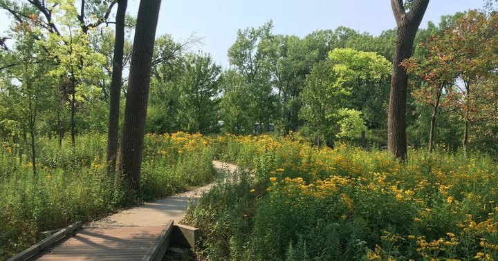 This Off-The-Beaten-Path Nature Preserve In Illinois Is The Perfect Place To Escape