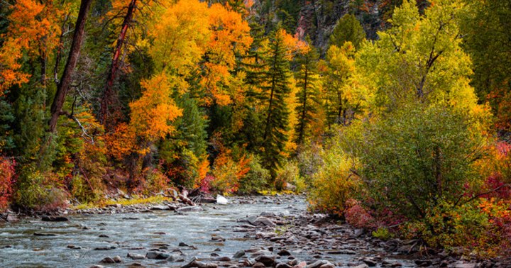 Day Trips in Colorado: Best Train Trips In The State