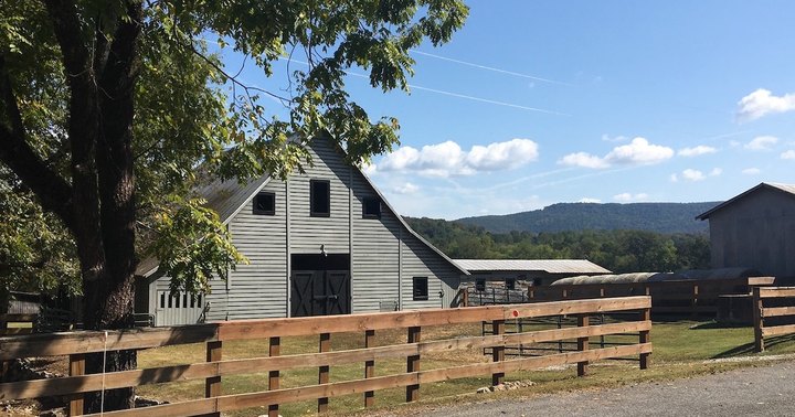 Enjoy An Educational Glamping Adventure Discovering Farm Life And Nature At This Alabama Spot