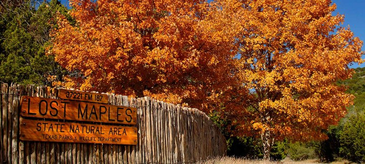 The Charming Small Town In Texas That's Perfect For A Fall Day Trip