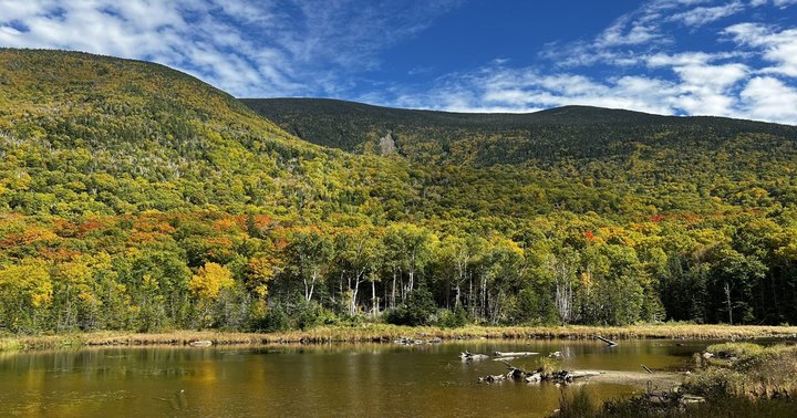 The Easy Trail That Might As Well Be The Wetlands Capital Of New Hampshire
