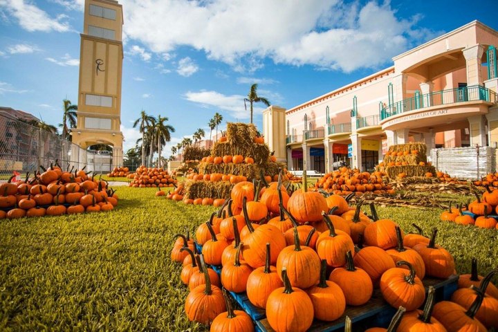 The Largest Pumpkin Patch Festival In South Florida Is A Must-Visit Day Trip This Fall