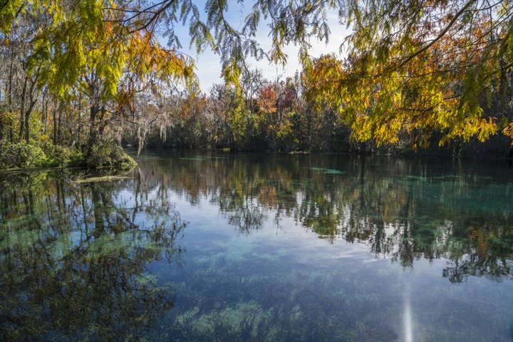 Here Are The Best Times And Places To View Florida's Fall Foliage In 2023
