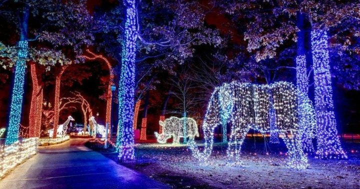 Your Ultimate Guide To Winter Attractions And Activities In Michigan