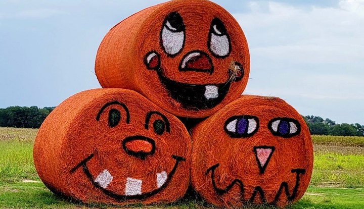 Here Are The 7 Absolute Best Pumpkin Patches In Arkansas To Enjoy In 2023