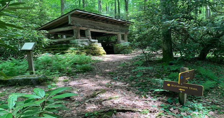 Explore A Little-Known Arboretum Near This Small West Virginia Mountain Town