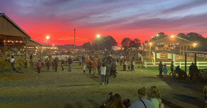 With More Than 35 Different Attractions, This Fall Festival In South Carolina Is A Must-Visit