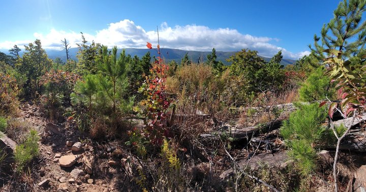 The 13-Mile Horsethief Spring Trail Leads Hikers To The Most Spectacular Fall Foliage In Oklahoma