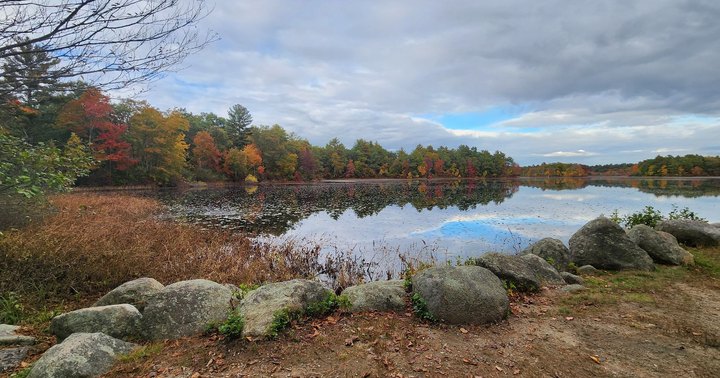 The Beautiful State Park Where You Can View The Best Fall Foliage In Massachusetts