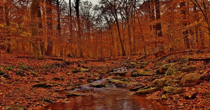 The Surprisingly Secluded Scenic Spot In Maryland That Comes Alive With Color Come Fall