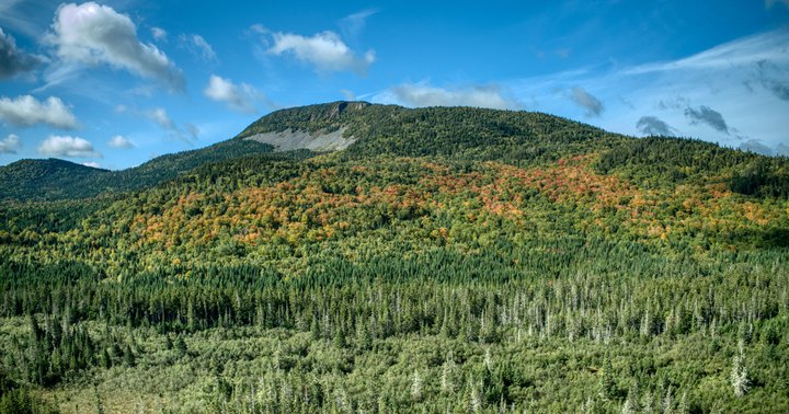 Everyone In New Hampshire Should Check Out These 15 Tourist Attractions According To Locals