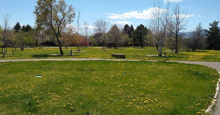 Explore A Little-Known Arboretum In This Small Colorado Town