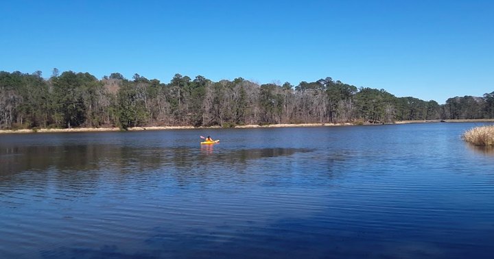 This Is Little-Known Lake Is Perfect For Easy Canoeing In Louisiana