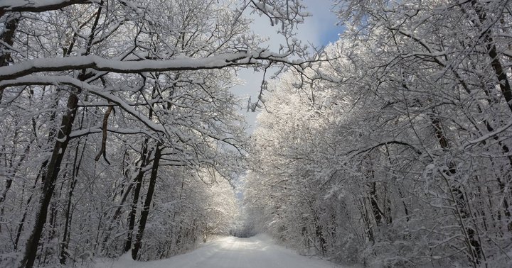 The Snowiest Region In Pennsylvania Is Perfect For A Magical Winter Getaway