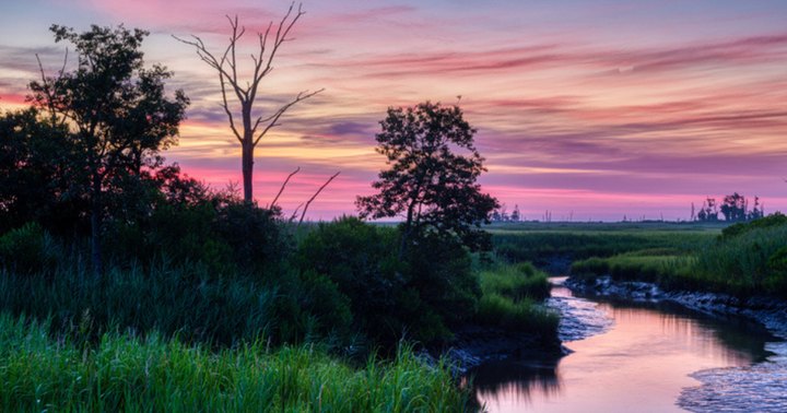 15 Incredible Natural Wonders In Delaware That Defy Explanation