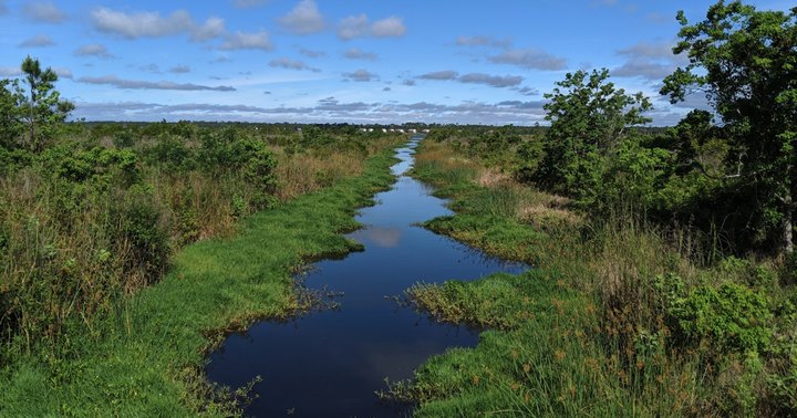 With Woods And Water Views, You'll Love The Gopher Tortoise Hike In Alabama