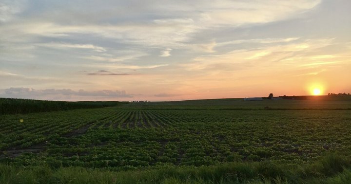 The Stunning Landscape In Illinois That Appears As Though It Was Ripped From A Painting