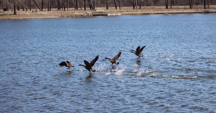 This Is Little-Known Lake Is Perfect For Easy Fishing And Bird Watching In Iowa