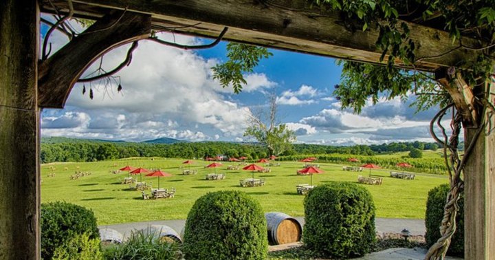 The Adults-Only Winery In Virginia Where You Can Enjoy A Peaceful Afternoon