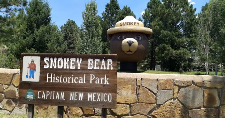 Most People Don't Know That Smokey Bear's Gravesite Is Found Right Here In New Mexico