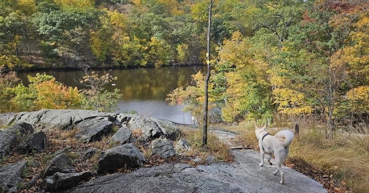 With A Boardwalk Trail And Waterfall, You'll Love The Scarlet Oak Pond To MacMillan Reservoir Hike In New Jersey