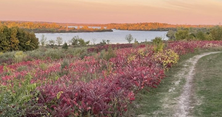 Enjoy A Long Walk At This Underrated State Park In Iowa