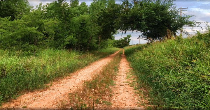 The Stinchcomb Wildlife Refuge East Trail In Oklahoma Is A Magical Hidden Gem Worth Exploring
