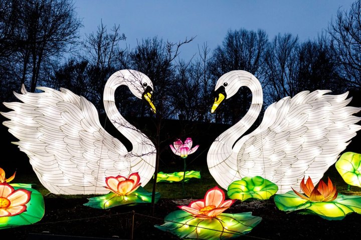 Walk Through A Magical Display Of Over 50 Glowing Chinese Lanterns This Winter At The Houston Botanic Garden