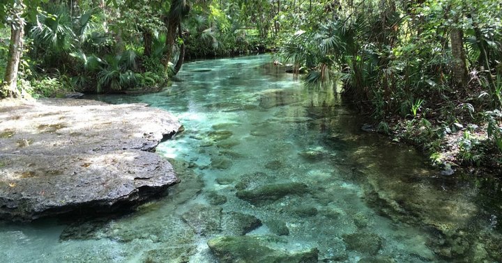 10 Incredible Hidden Gems In Florida You’ll Want To Discover This Year