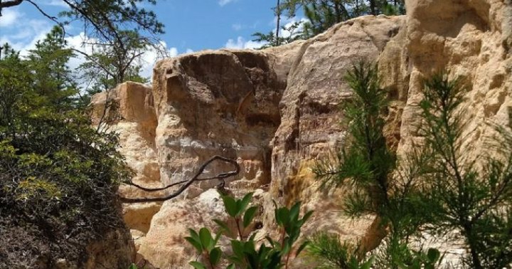 We Bet You Didn't Know There Was A Miniature Grand Canyon In South Carolina