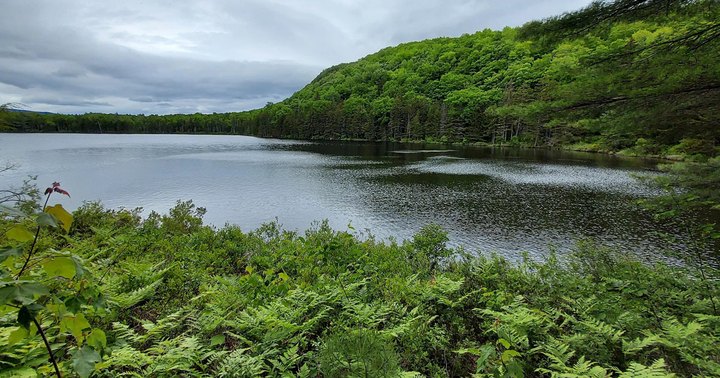 The Lesser-Known Pond In New Hampshire That Will Melt Your Worries Away