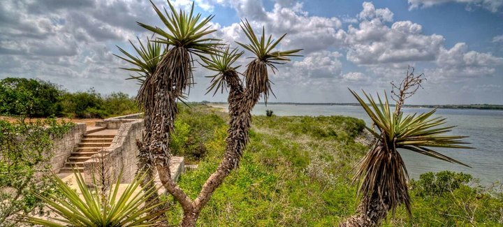 Lake Corpus Christi State Park In Texas Just Turned 90 Years Old And It's The Perfect Spot For A Day Trip