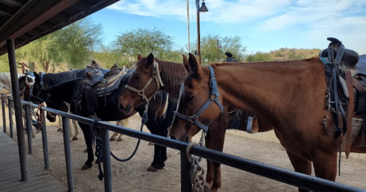 It's An Epic Western Adventure Riding Horseback To A Steakhouse In Arizona