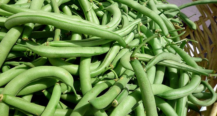 Green Beans