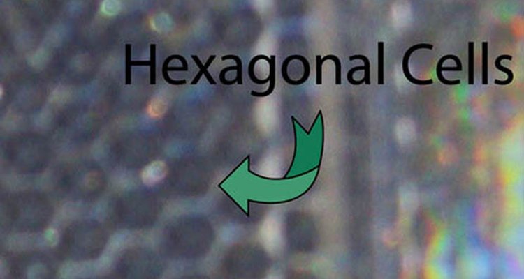 Hexagonal Cells