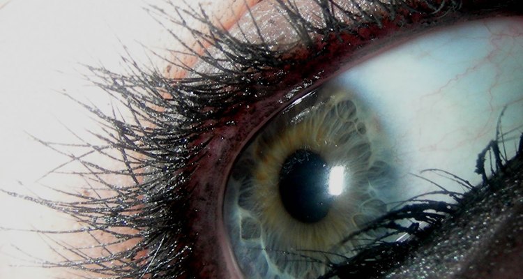 eyelashes