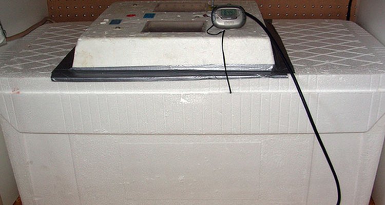 Styrofoam incubator.