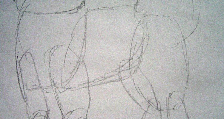 Draw the basic shapes that make up the Samoyed's body.