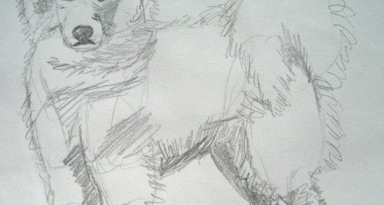 Shade in the dark points on the Samoyed's body.