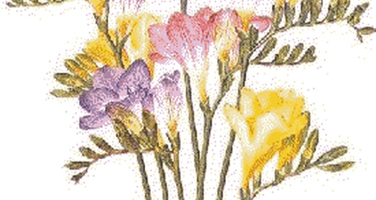 Freesia Bouquet