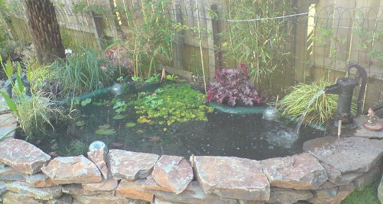 A lovely preformed garden pond