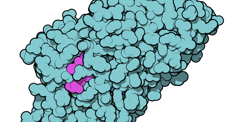 Thyroxine-binding globulin