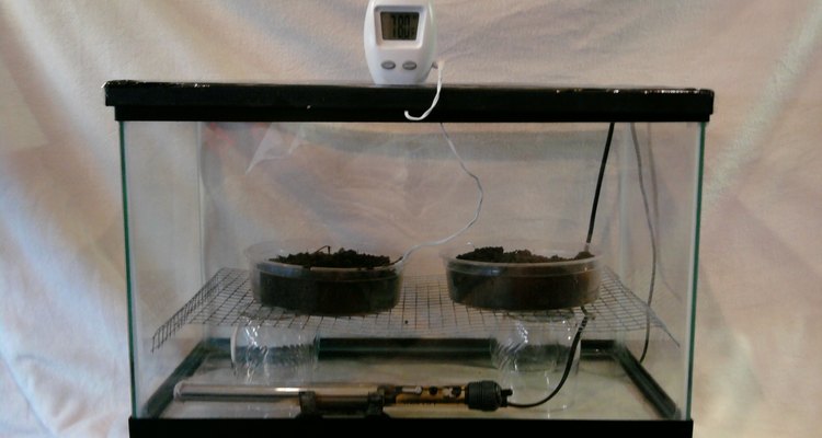 A homemade tortoise incubator