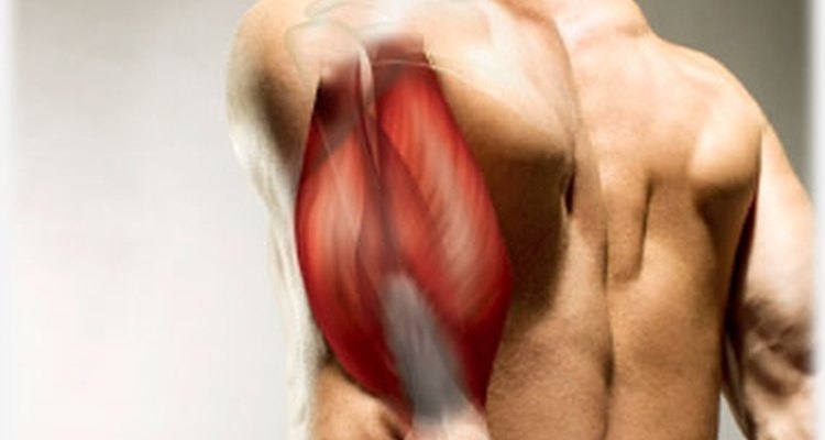 Triceps