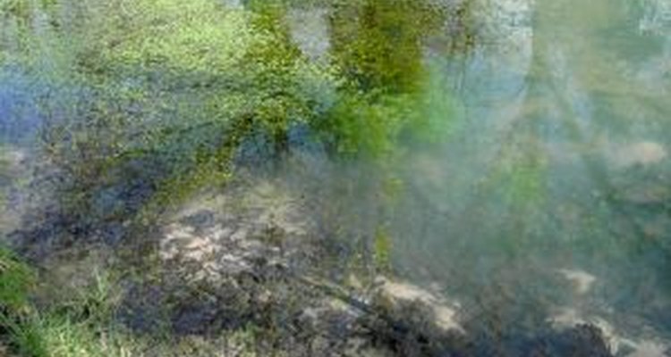 You can remove unattractive or damaged garden ponds.